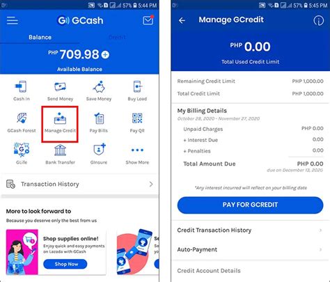 loan account id gcredit
